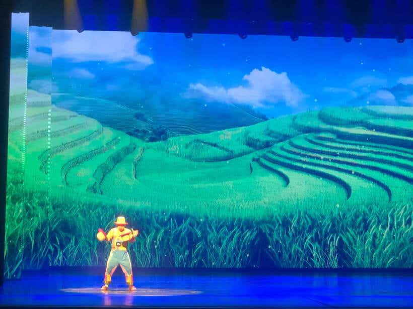 Red Theatre Beijing Acrobatics Show Ticket - Should you book Red Theatre Beijing Acrobatics?
