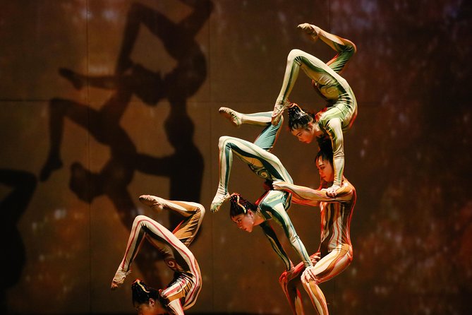 Shanghai Circus World: ERA2 Intersection of Time Acrobatics Show - The show’s core appeal: martial arts + acrobatics that stay understandable