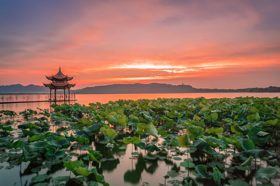 Shanghai: Private Guided Tour to Hangzhou by Bullet Train - From Shanghai to Hangzhou: Why the Bullet Train Day Feels Effortless