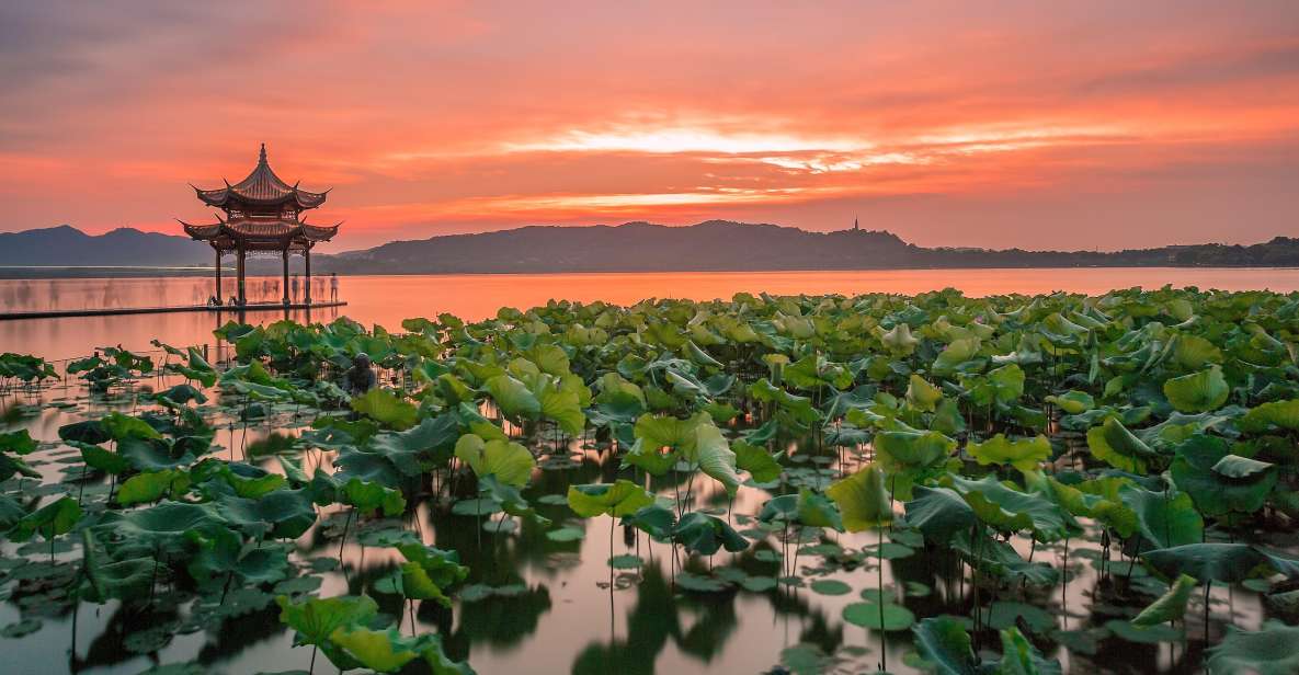 Shanghai: Private Guided Tour to Hangzhou by Bullet Train - Practical Logistics: Hotel Pickup, Timing, and a Smooth Return