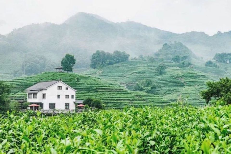Shanghai: Private Guided Tour to Hangzhou by Bullet Train - Who This Tour Suits Best