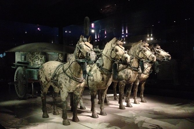 Terra-Cotta Warriors & Horses Essential Full Day Tour from Xi'an - Guides and English: what makes the difference on this tour