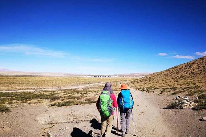 Tibet Tour 15 Days Lhasa to Kailash Trekking Small Group via EBC - Yalong Valley return to Lhasa: incense mills and last viewpoints