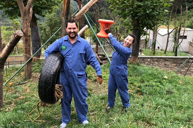 Visiting Dujiangyan Yaan Wolong Panda Base Optional Volunteering - 7:20 Chengdu Pickup, Then Orientation Before Work Starts