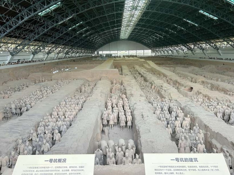 Xi'an: Exclusive Terracotta Army Tour & Local Family Lunch - Entering Terracotta Army time: where your guide helps you see the details