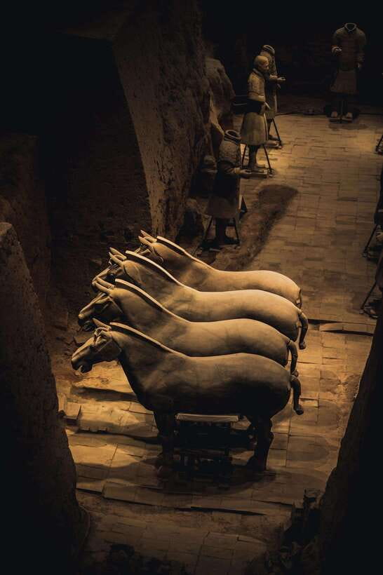 Xian Terra Cotta Warriors Ticket Only - Getting to the Museum: About an Hour From Xi’an